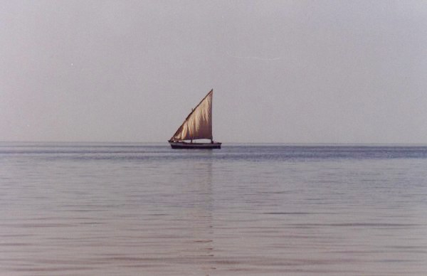 Argin Bank National Park - Traditional ship - Mauritania
Argin Bank National Park - Barco de vela - Mauritania
