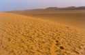 Dunes in Shara desert  