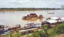 Ir a Foto: Puerto en el Rio Madre de Dios - Afluente del Amazonas 
Go to Photo: Puerto en el Rio Madre de Dios - Afluente del Amazonas