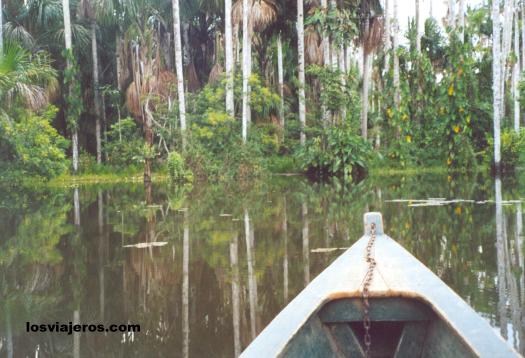 Lago Sandoval - Amazonas Jungle - Peru
Lago Sandoval - Amazonas Jungle - Peru