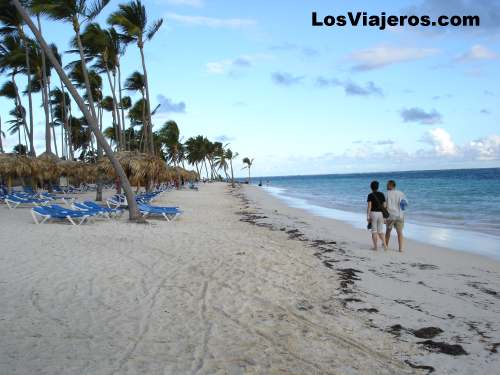 Hotel beach- Punta Cana - Dominican Rep.
Playa de hotel - Punta Cana - Dominicana Rep.