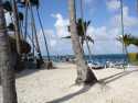 Ir a Foto: Cocoteros y tumbonas - Puntacana 
Go to Photo: Beach chairs and coconut Trees- Puntacana