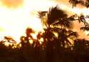 Ir a Foto: Amanecer desde la habitación del hotel - Punta Cana 
Go to Photo: Dawn from my room- Punta Cana