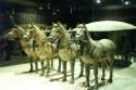 The Terra Cotta Horses of Xian