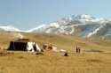 Nomadas y paisajes tibetanos - China
Nomads and beautiful grassland landscape - China