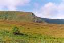 Paisaje de los montes de Wicklow - Irlanda
Landscape of the Mountains of Wicklow