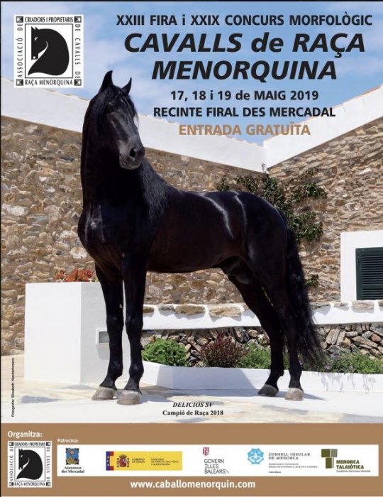 Cartel 23 edición Feria Caballos de Raza Menorquina, Oficina Turismo de Menorca: Información actualizada 0