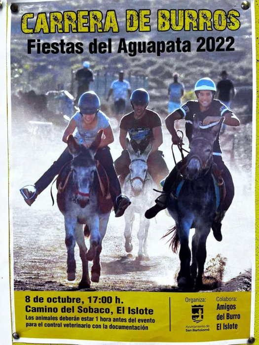 Carrera de burros Aguapata 2022, Viajar a Lanzarote