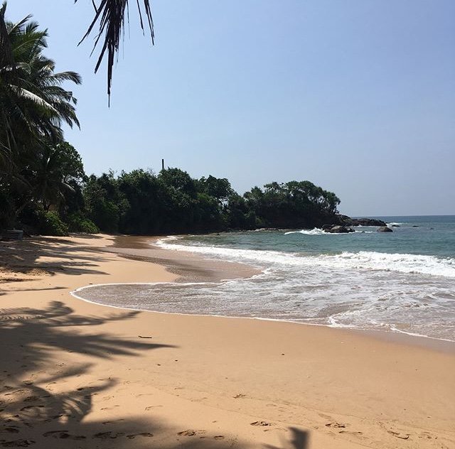 Mejores Playas  Sri Lanka: Mirissa, Unawatuna, Hikkaduwa