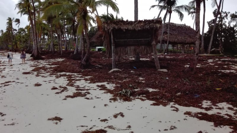 Playa, Huracan Maria:  Republica Dominicana y Caribe