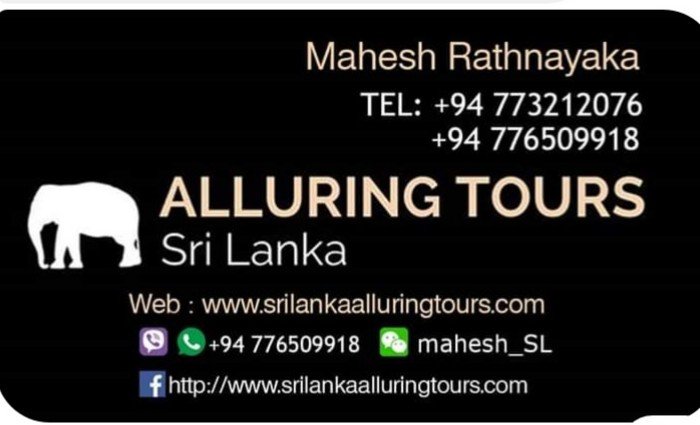 Srilankaalluringtours.com - Mahesh Guia Sri Lanka
