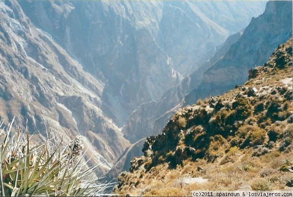Arequipa y Cañon del Colca (Perú) - Foro América del Sur
