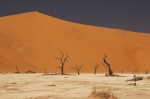 Deadvlei - Sossusvley, Sesriem, Namib Desert