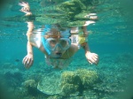 Haciendo snorkel en los arrecifes de Port Barton, Palawan
Filipinas, Palawan, Port Barton, Buceo, Snorkel