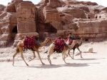 Petra, la joya de Jordania y del mundo