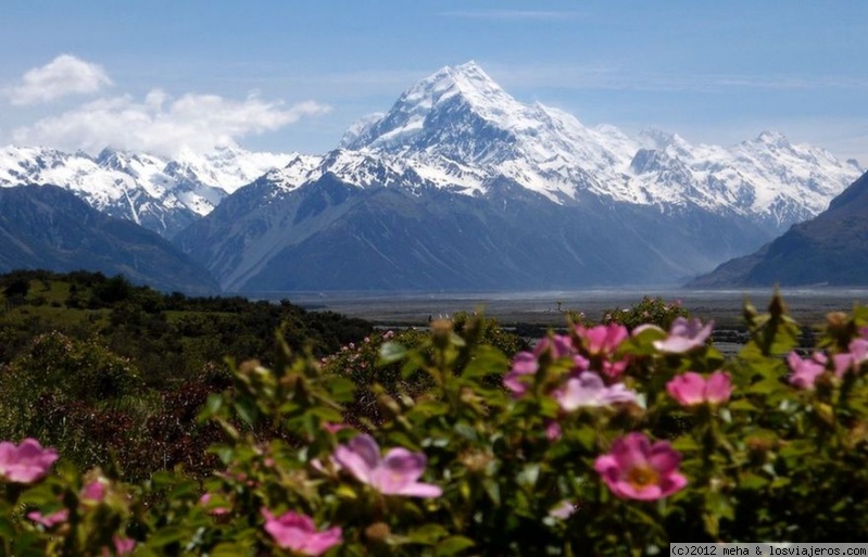 Foro de Nueva Zelanda: Los Alpes neozelandeses en su primavera
