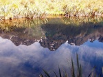 Lagunas de espejos en el camino a Milford Sound