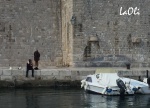 puerto Dubrovnik
Dubrovnik, Señora, puerto, pescando, para, gatos