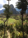 Dia 8. Machu Picchu. Cusco-Aguas Calientes-Ollantaytambo ( 2 septiembre)