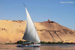El Cairo y crucero por el río Nilo.-
