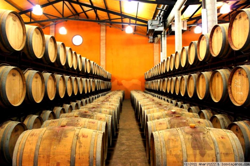Foro de Rioja: Barricas de vino en Logroño