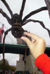 Catching the spider's Guggenheim