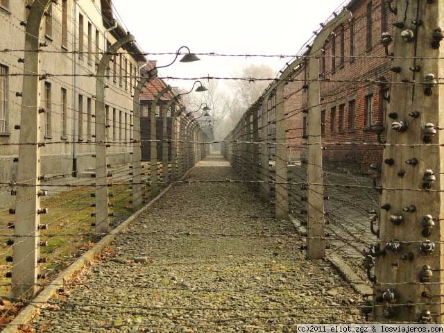 Foro de Auschwitz: Verja de seguridad electrificada