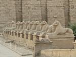 esfinges con cara de carnero de la avenida de entrada al templo de karnak