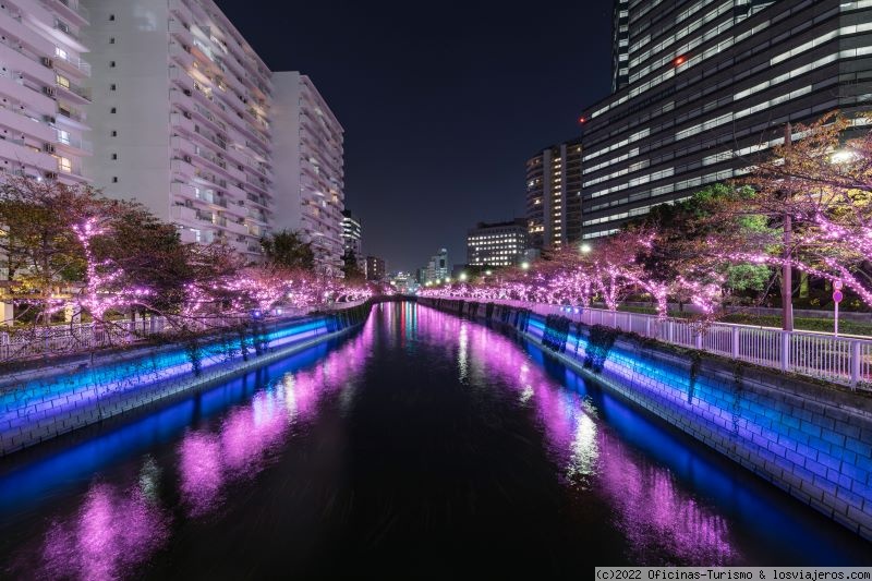 Navidad en Tokio: Unas fiestas llenas de luz en 2022 - Oficina de Turismo de Tokio - Información actualizada - Foro Japón y Corea