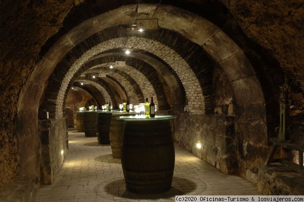 V Centenario Camino Ignaciano, peregrina por Rioja Alavesa - Rioja Alavesa: Enoturismo, Ruta del Vino, Visitar Bodegas