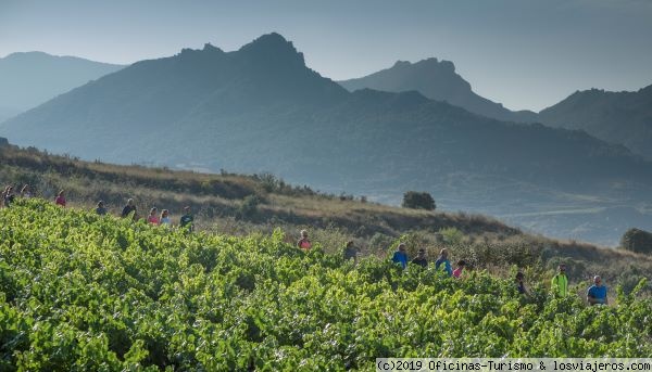 Ruta del Vino de Rioja Alavesa: Turismo de Naturaleza - Foro País Vasco - Euskadi