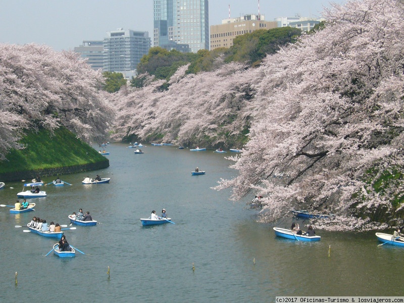 Primavera en Japón: viajar en Mayo-Junio y Clima - Foro Japón y Corea