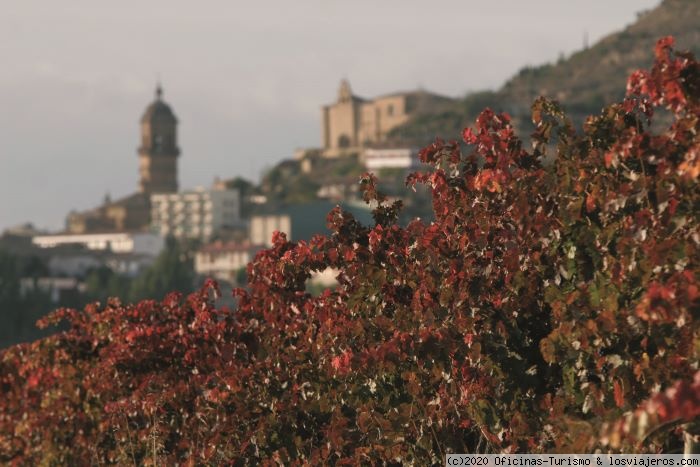 Rioja Alavesa: Enoturismo, Experiencias 2024 - Rioja Alavesa: Enoturismo, Ruta del Vino, Visitar Bodegas - Foro País Vasco - Euskadi