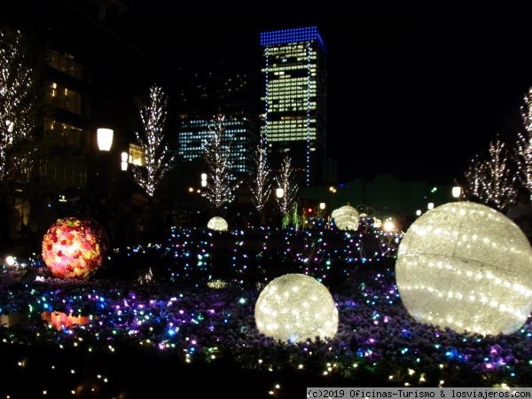 Tokio: Planes para disfrutar en invierno y navidades - Japón - Qué Visitar en Tokio: Shinjuku, Ginza, Akihabara, Shibuya...