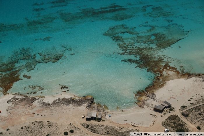 Viajar a Formentera: Experiencias 2023 - Foro Islas Baleares