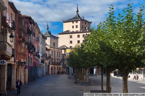 Qué ver y visitar en Aranda de Duero (Burgos) - Foro Castilla y León