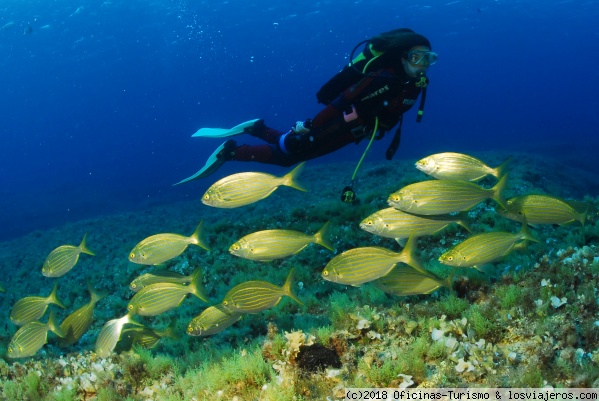 Puntos de inmersión en Formentera - Islas Baleares - Oficina de Turismo de Formentera: Información actualizada