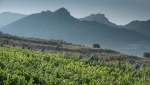 10 Experiencias para descubrir Rioja Alavesa