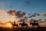 Formentera: paseos a caballo