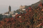 Rutas de Senderismo por Rioja Alavesa