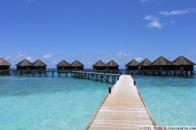 Últimas Etapas de Diarios de Maldivas - Diarios de Viajes