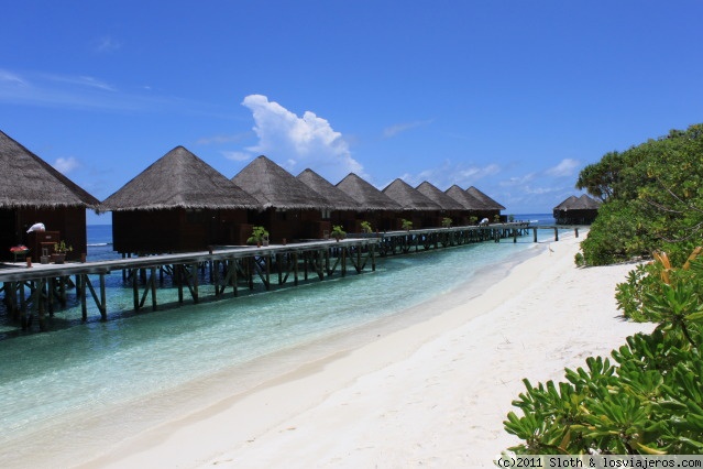 Foro de Vueling: Maldivas Mirihi water villas