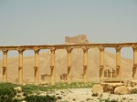 Ruinas De Palmira (Siria)
Palmira Ruinas Siria