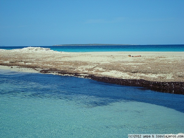 Playa de Ses Illetes- Formentera - Islas Baleares - Oficina de Turismo de Formentera: Información actualizada