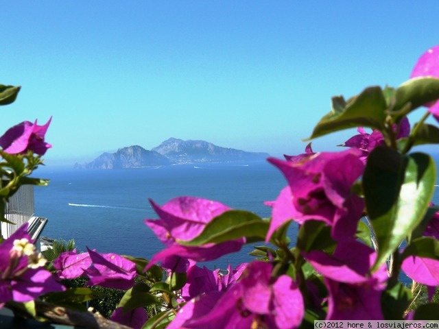 Foro de Costa Amalfitana: Capri