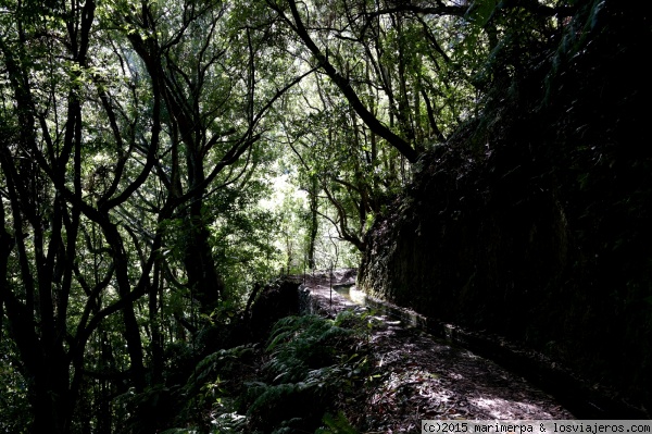 Ruta por rincones naturales más representativos de Madeira - Oficina de Turismo de Madeira: Información actualizada - Foro Portugal