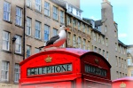 Edimburgo: Una ciudad “encantada” con mucho encanto