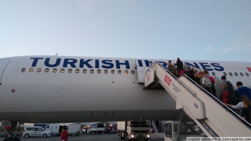 Foro de Turkish Airlines: AVION TURKISH AIRLINES
