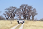 Botswana y Cataratas Victoria. Viaje por libre de 19 dias