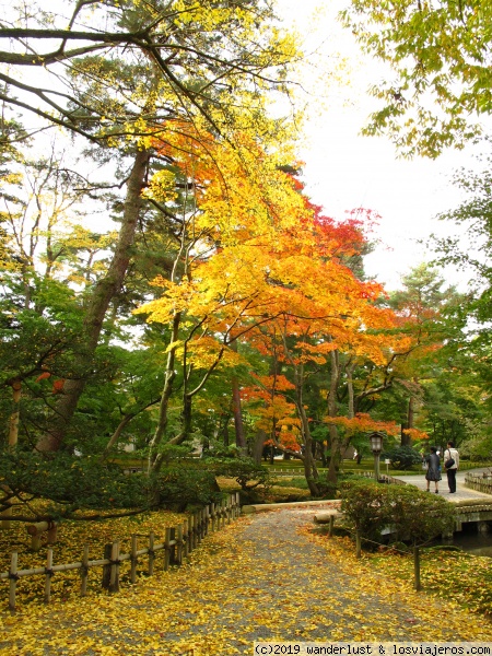 Japón en Otoño: Clima, Festivales, Momiji - Foro Japón y Corea